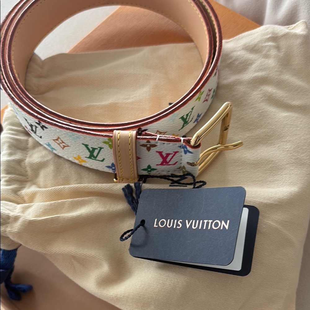 Louis Vuitton Multicolor Belt